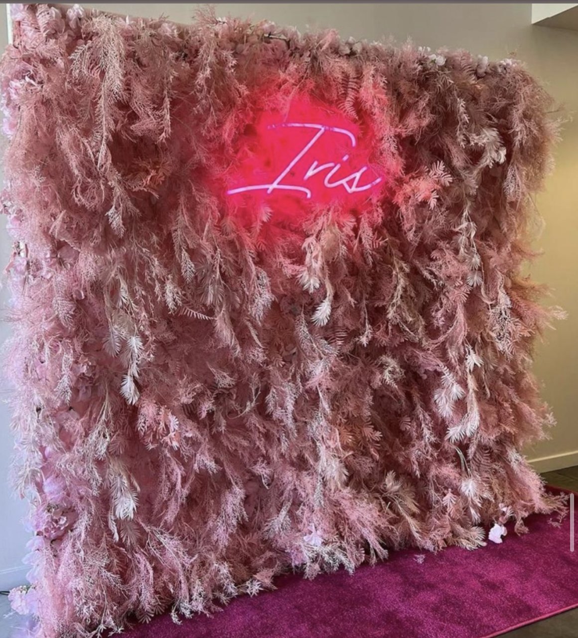 The Princess wall: soft pink plumes, with a neon sign